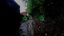 Multigun and Plaguetrix Screenshot 5