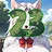 23 level completed
