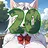 20 level completed