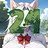 24 level completed