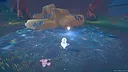 When Stars Align Screenshot 3