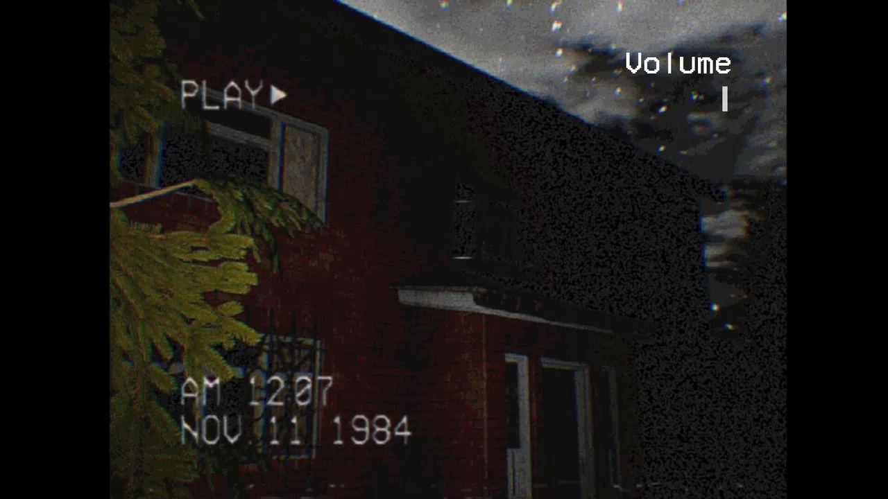 The Silent Witness Screenshot 4