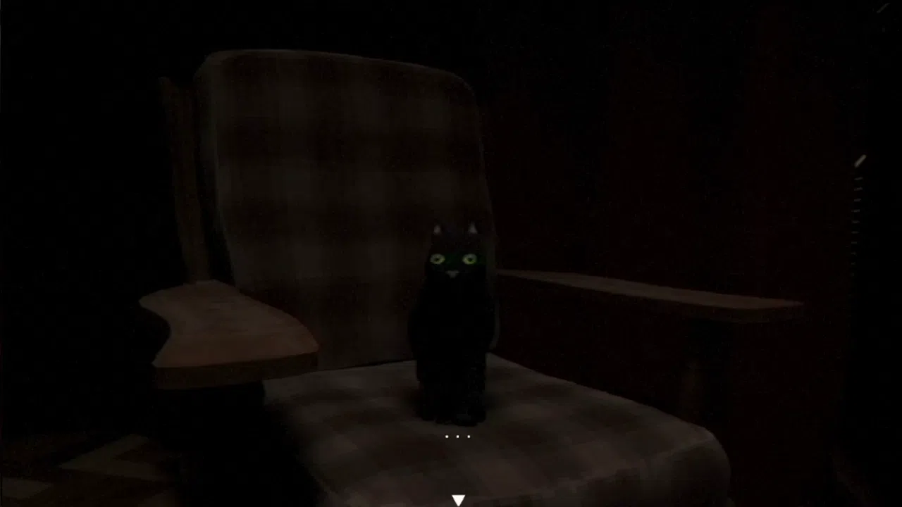 Owl Lights Screenshot 7