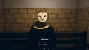 Owl Lights Screenshot 2