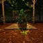 Gain the Power of the Emerald Crystal icon