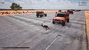 The Last Kangaroo Screenshot 0