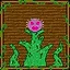 The Field icon
