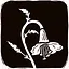 Petunia icon