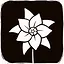 Forget-Me-Not icon