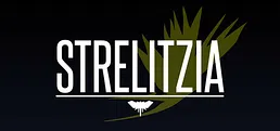 Strelitzia