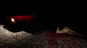 Forest Asylum 2 Screenshot 4