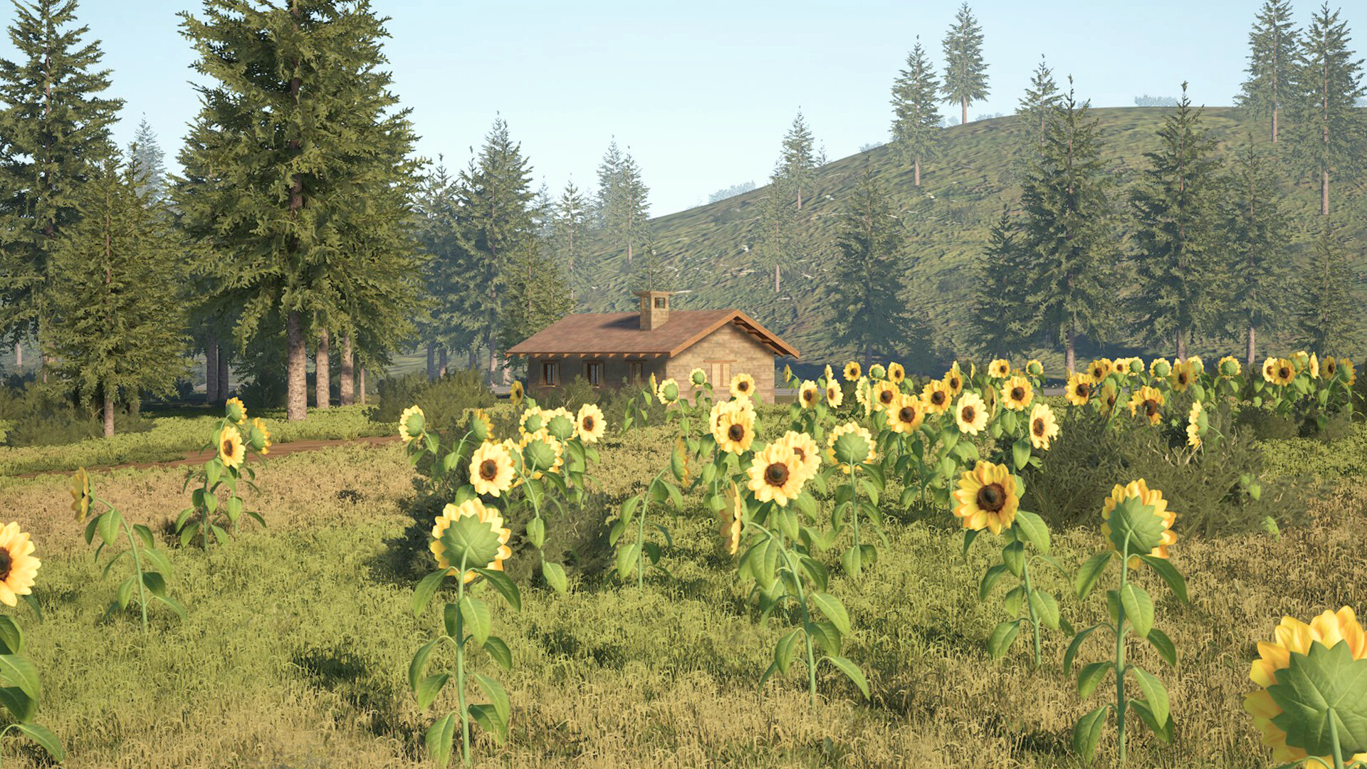 Caravanners Screenshot 24