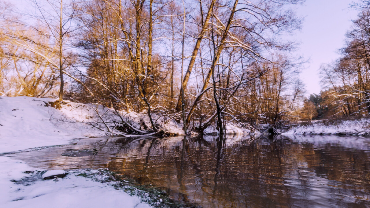 AnglingTimes Screenshot 3