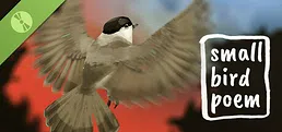 small bird poem Demo