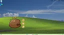 Desktop Wooden Fish Screenshot 0