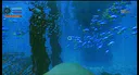 To The Deep Screenshot 2