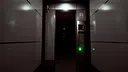 Parasite Elevator Screenshot 4
