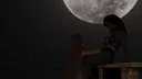 Charter To Paradise Screenshot 0