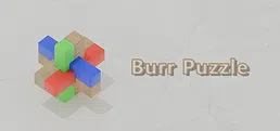 Burr Puzzle