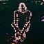 Data Collector icon
