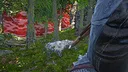 Pact of Blood Screenshot 13
