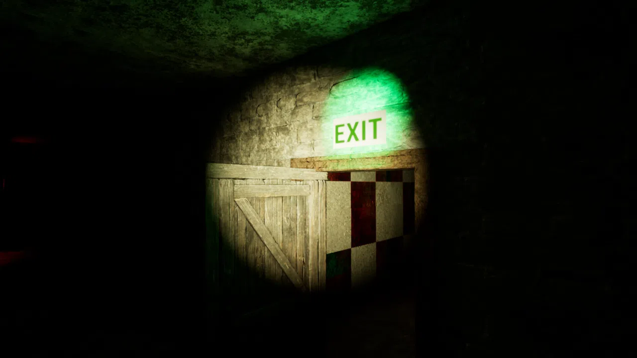 To Late_The last room Screenshot 9