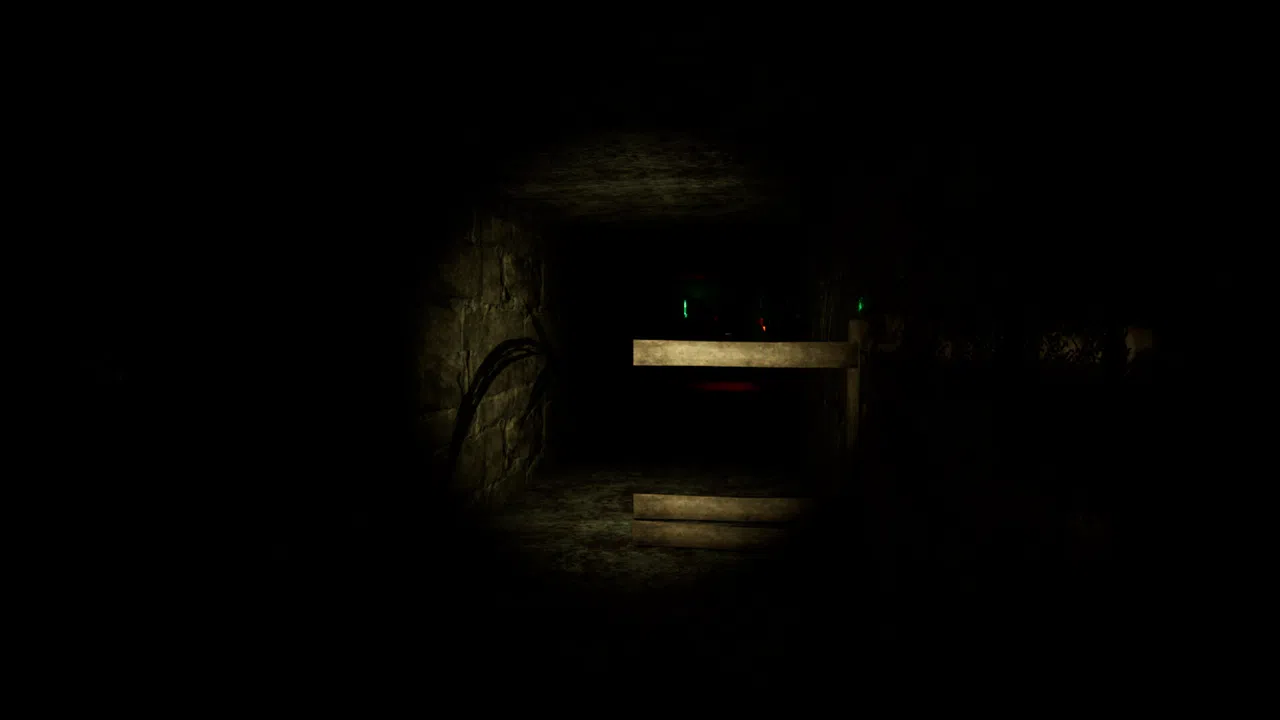 To Late_The last room Screenshot 2