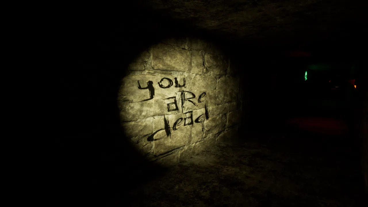 To Late_The last room Screenshot 4