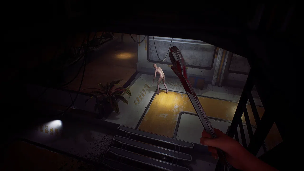 Void Flesh Screenshot 1