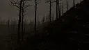 Withering Horrors Screenshot 9
