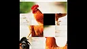 hgmGame-rooster Screenshot 4