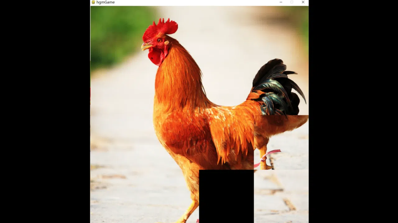 hgmGame-rooster Screenshot 2