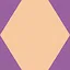 Seasoned Hexagon icon
