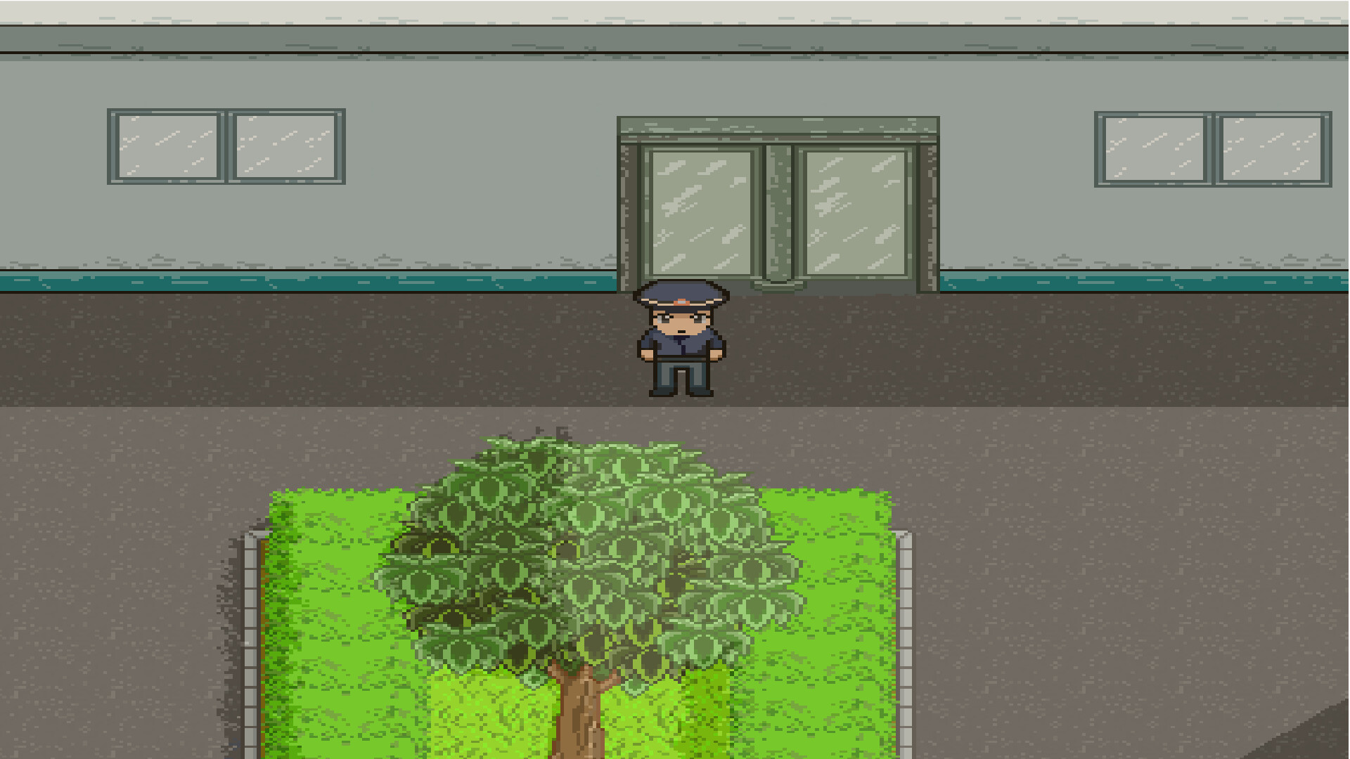 栀子花 Screenshot 7