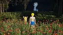 Winnie-The-Pooh: Beyond The Hundred Acre Screenshot 4