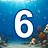 6 level completed