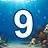 9 level completed