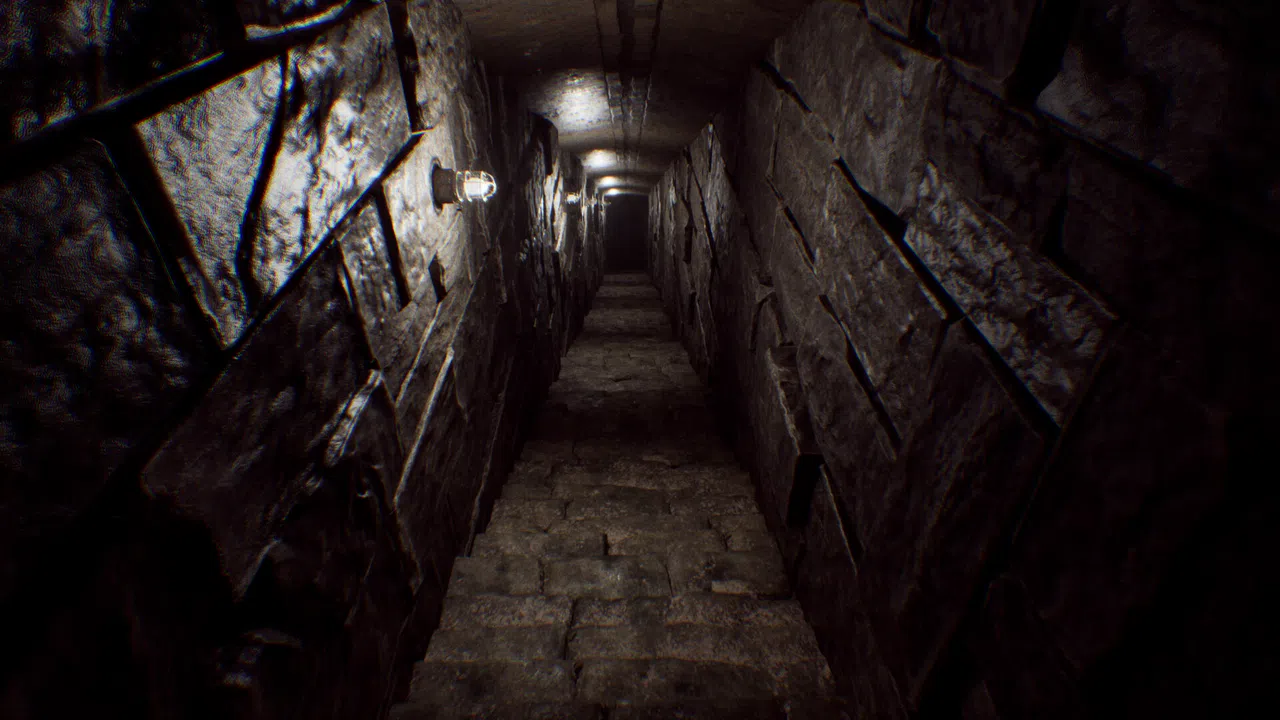 Forester: First Step Screenshot 1
