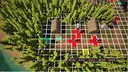 Free Strategy Chess Game Screenshot 0