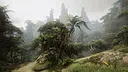 Natural Elements Online Screenshot 4