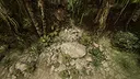 Natural Elements Online Screenshot 2