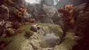 Natural Elements Online Screenshot 1