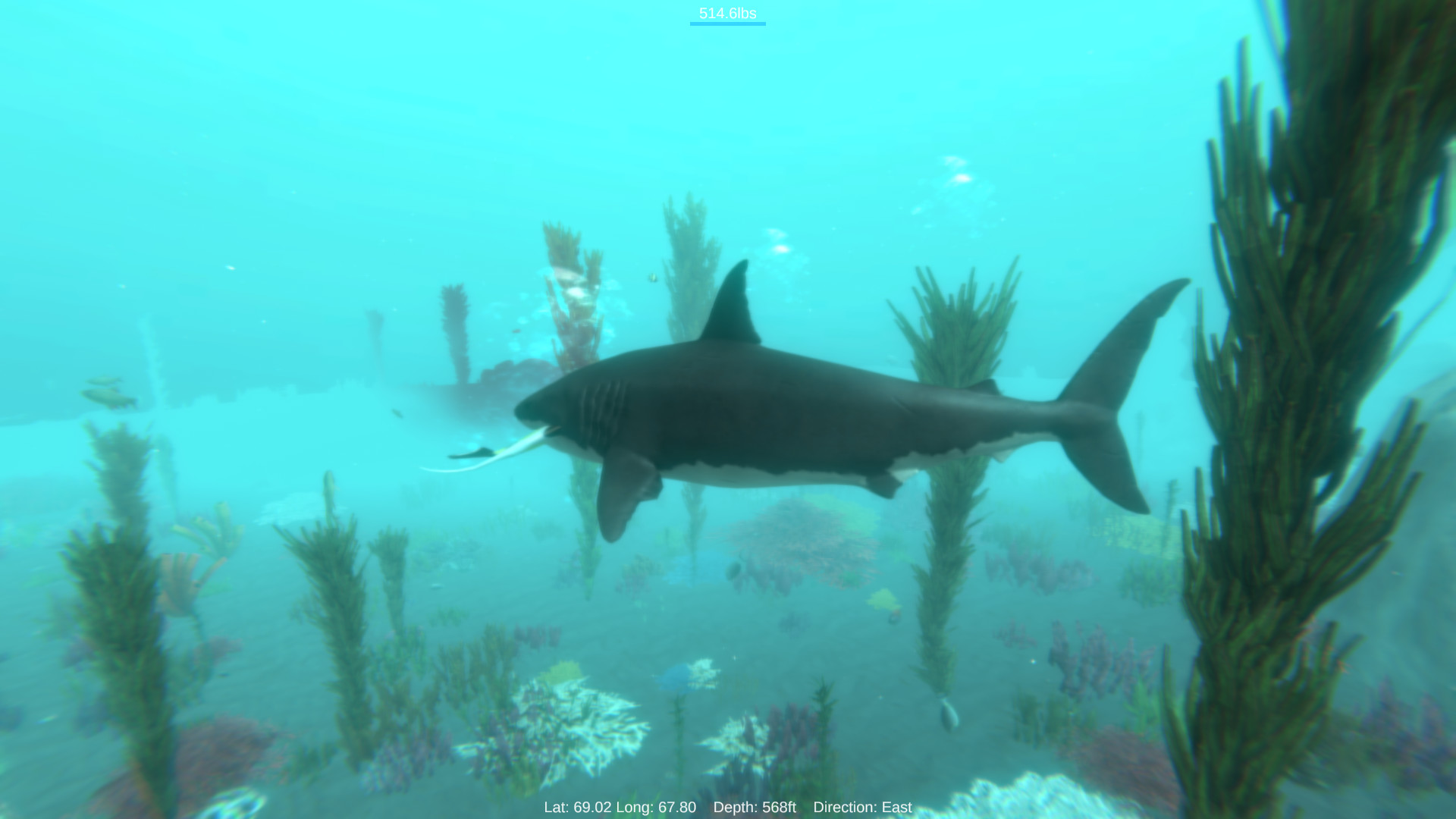 Alpha Shark Screenshot 2