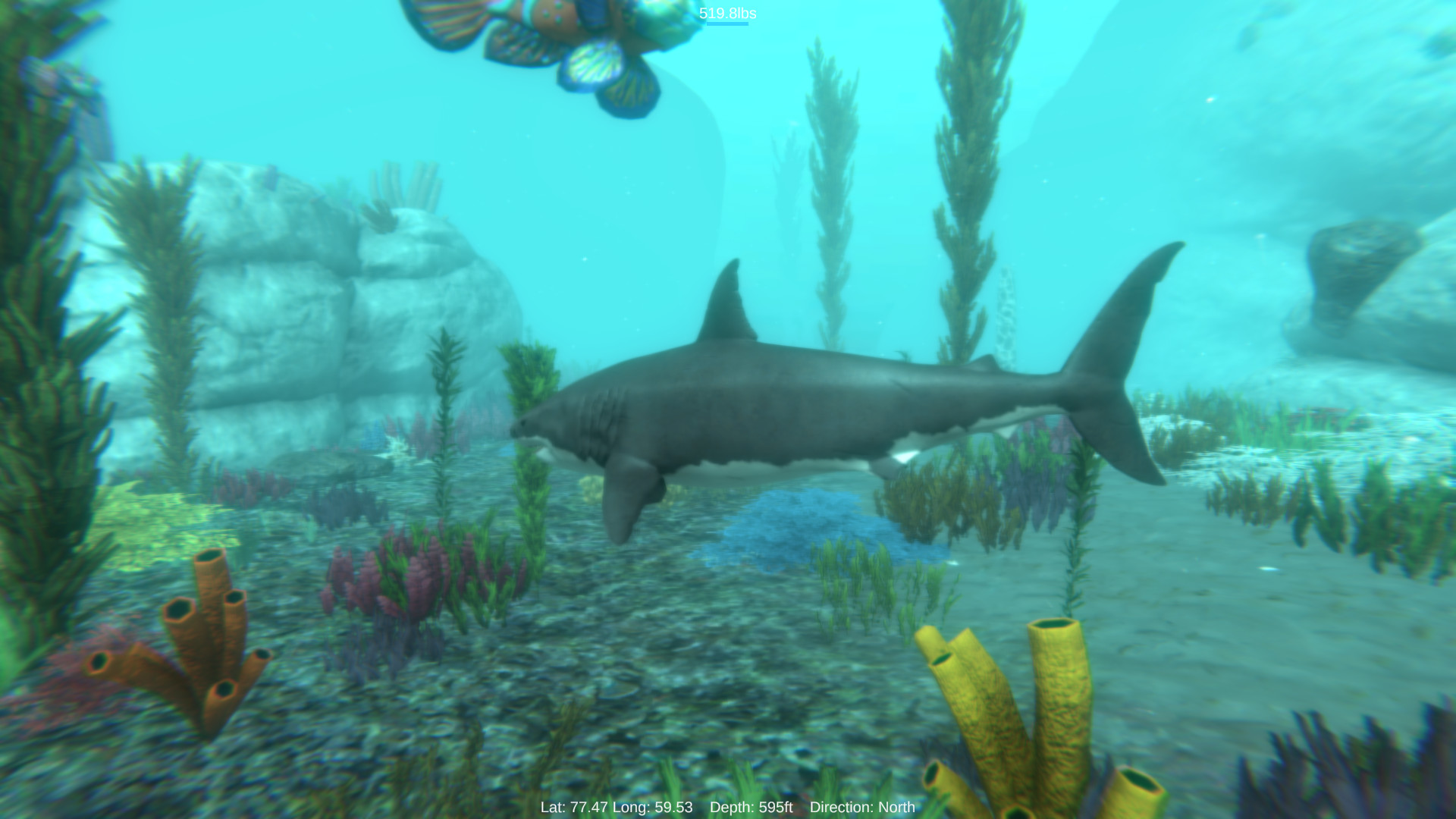 Alpha Shark Screenshot 0