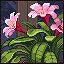 Flower icon
