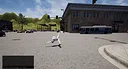 Rock Arena Screenshot 1