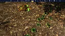 Empire of the Insects Screenshot 4
