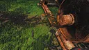 Lawn Mowing Simulator - Heritage Park Screenshot 3