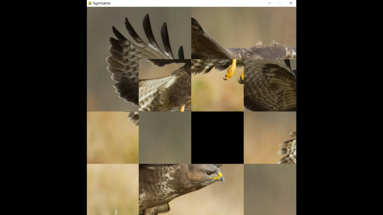 hgmGame-eagle Screenshot 1