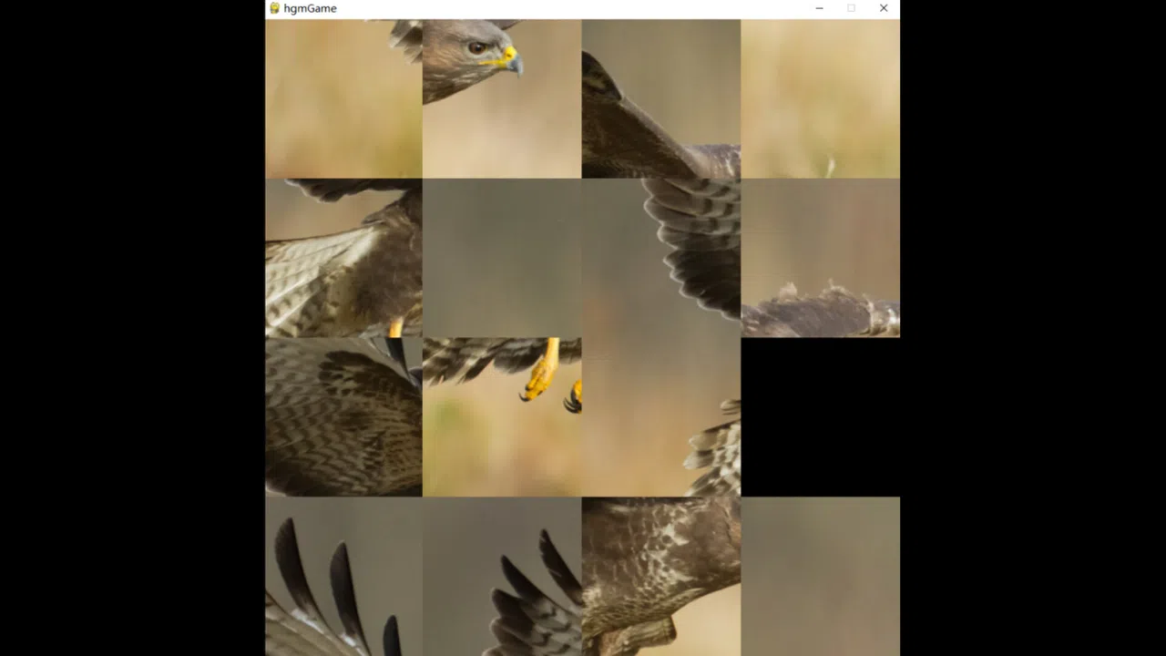 hgmGame-eagle Screenshot 0
